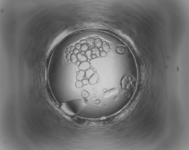 X0000067871365200604171213