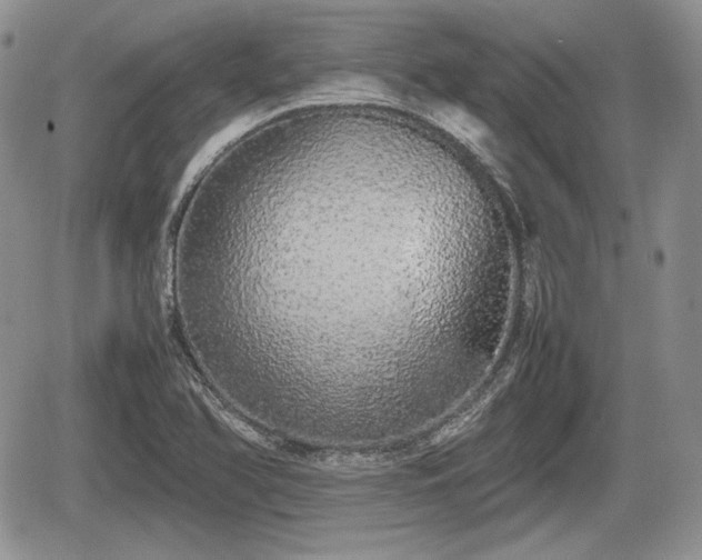 X0000067871366200604171213