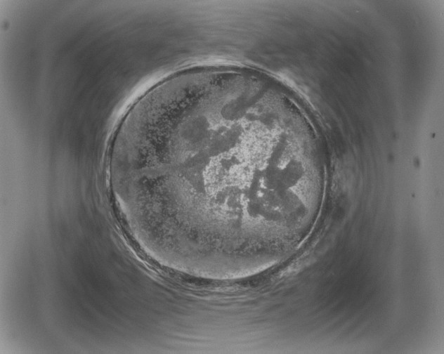 X0000067871367200604171213