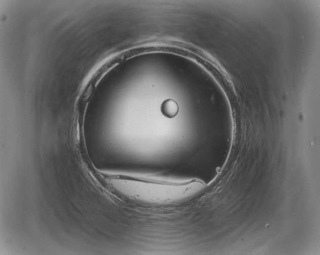 X0000067871368200604171213