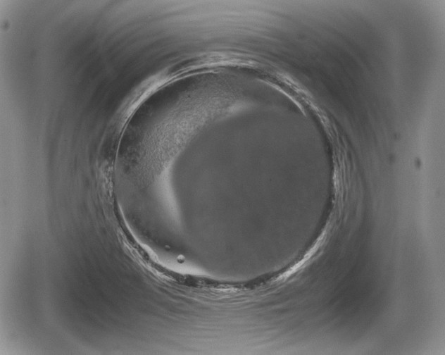 X0000067871369200604171213