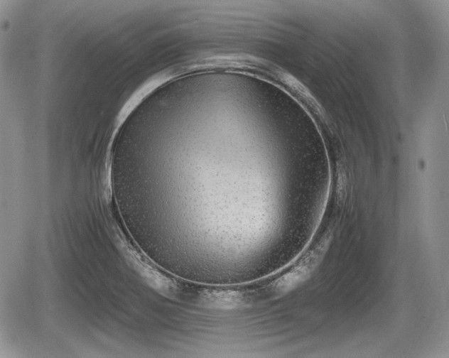 X0000067871370200604171213