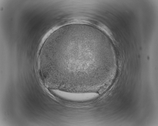 X0000067871371200604171213