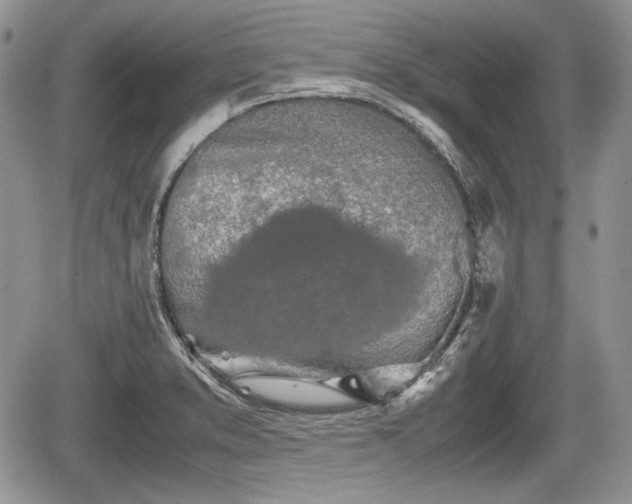 X0000067871373200604171213