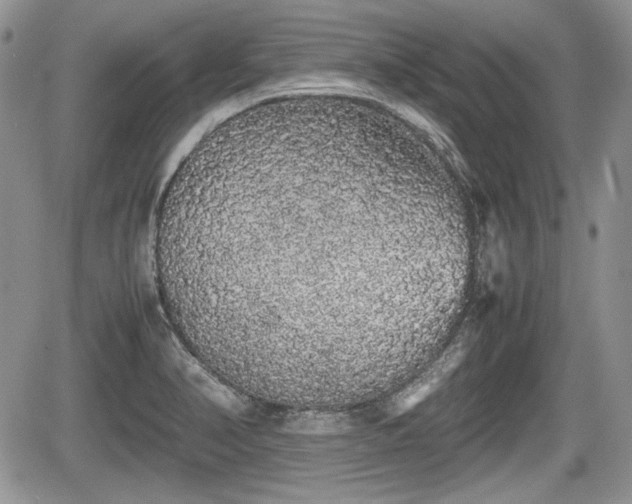 X0000067871374200604171213