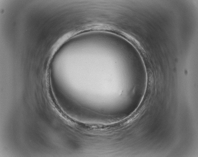 X0000067871375200604171213