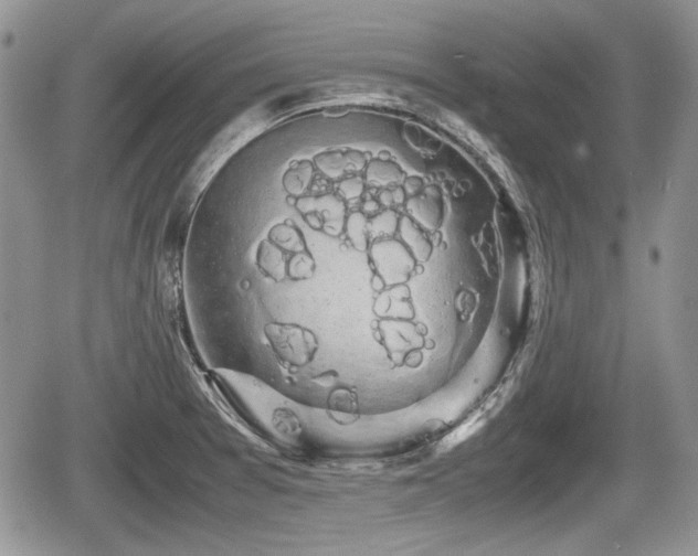 X0000067871377200604171213