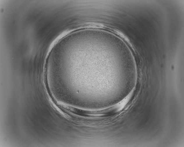 X0000067871379200604171213