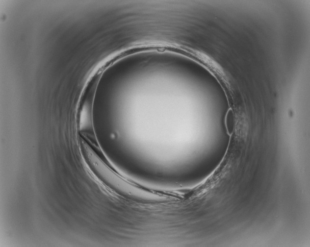 X0000067871380200604171213