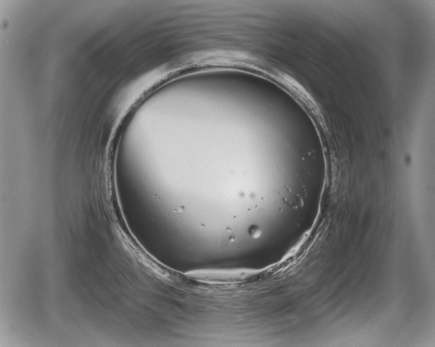 X0000067871384200604171213