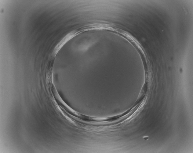 X0000067871385200604171213