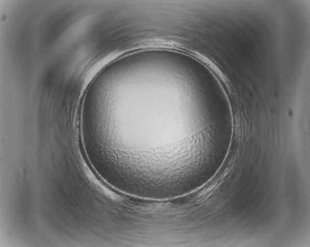 X0000067871387200604171213