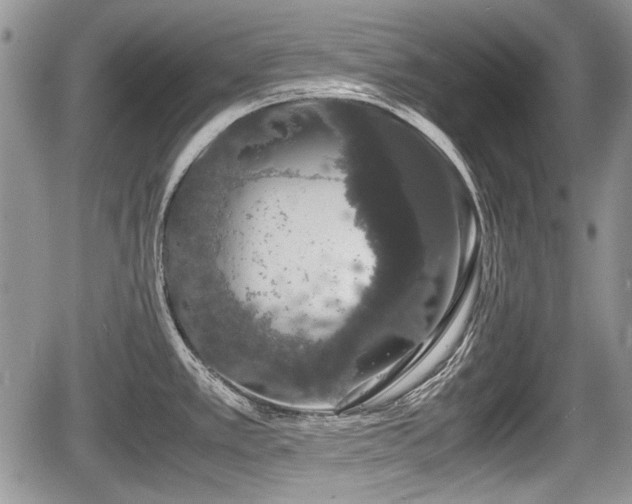 X0000067871389200604171213