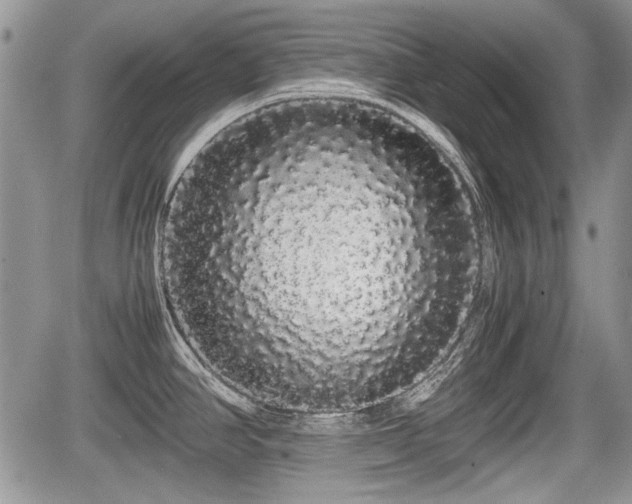 X0000067871390200604171213