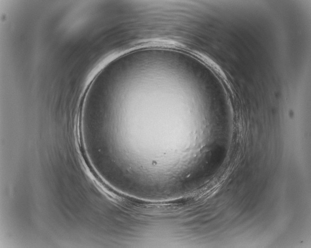 X0000067871391200604171213