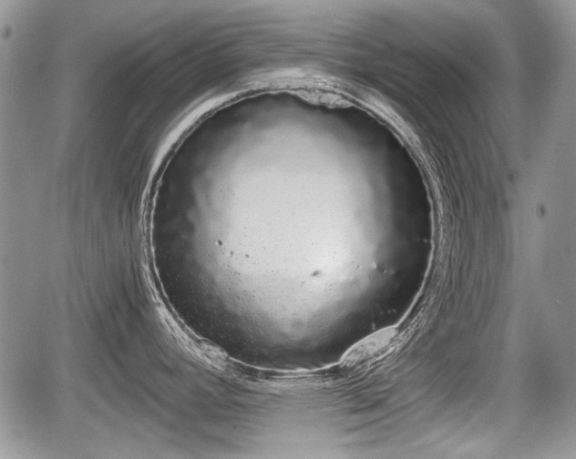 X0000067871392200604171213