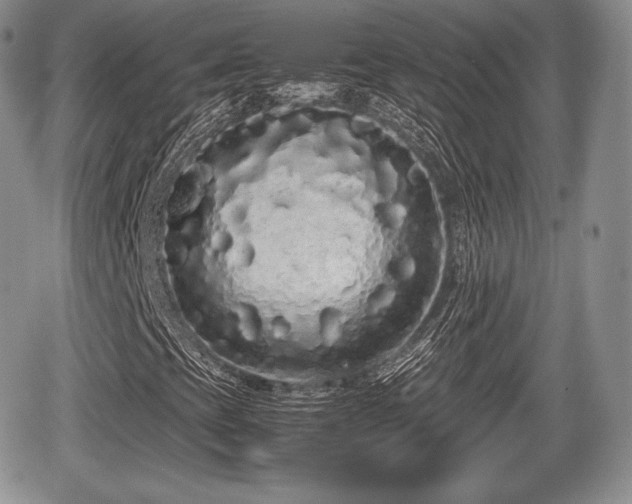 X0000067871393200604171212