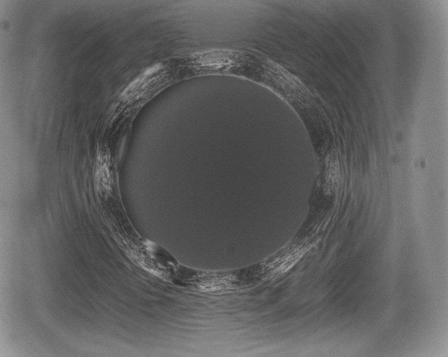 X0000067871394200604171212