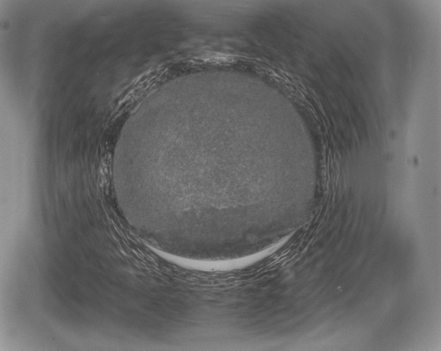 X0000067871397200604171212