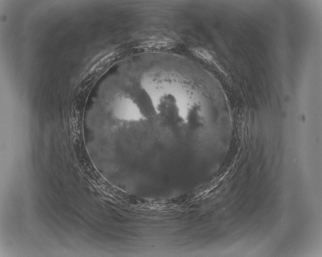 X0000067871399200604171212