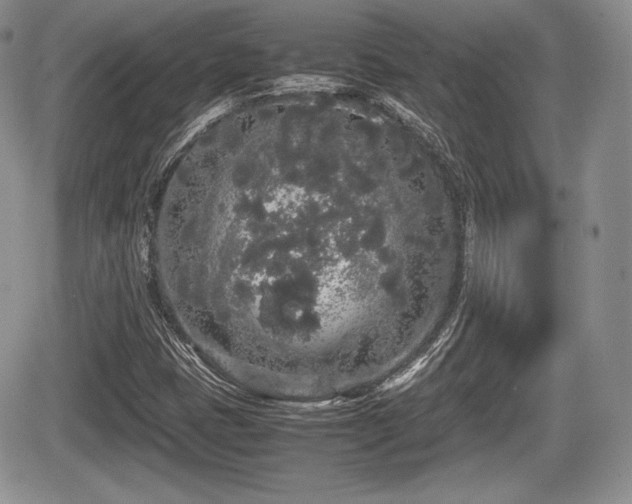 X0000067871401200604171212