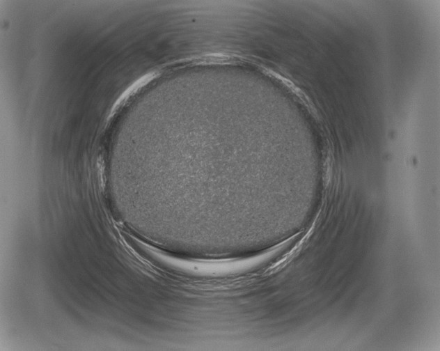 X0000067871402200604171212