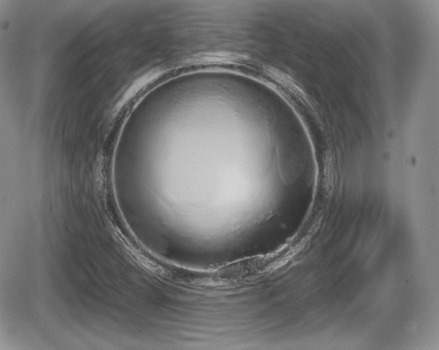 X0000067871404200604171212