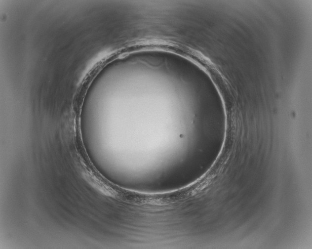 X0000067871408200604171212