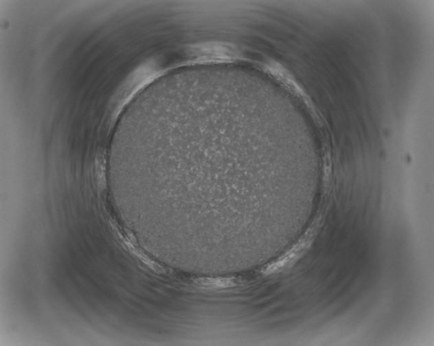 X0000067871409200604171212