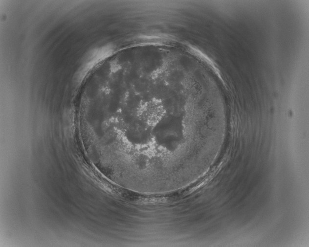 X0000067871411200604171212