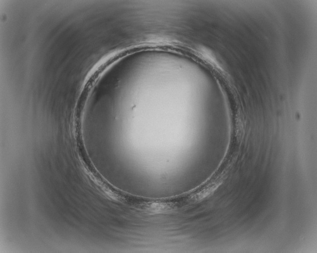 X0000067871412200604171212