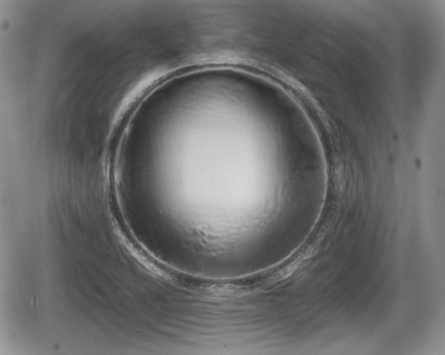 X0000067871416200604171212