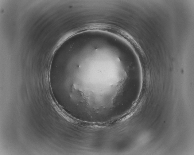 X0000067871417200604171213