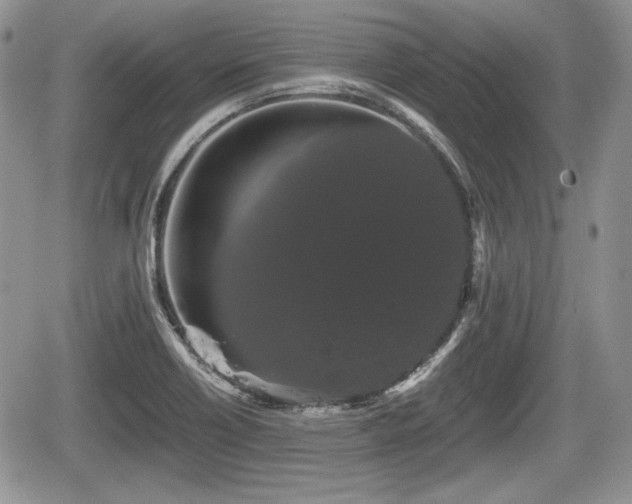 X0000067871418200604171213