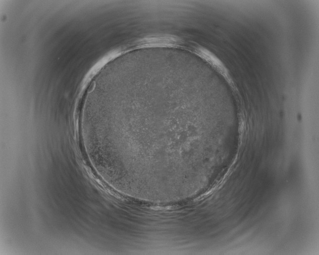 X0000067871419200604171213