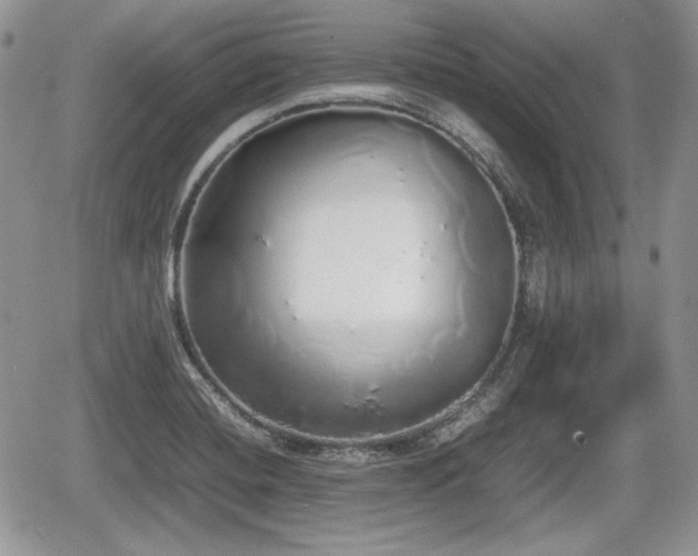 X0000067871420200604171213