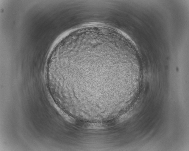 X0000067871421200604171213