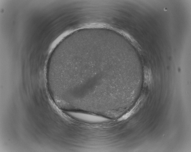 X0000067871422200604171213