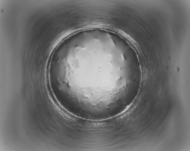 X0000067871423200604171213