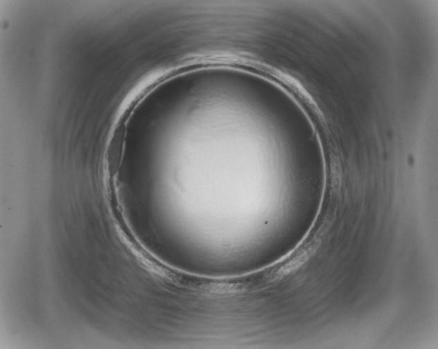 X0000067871424200604171213