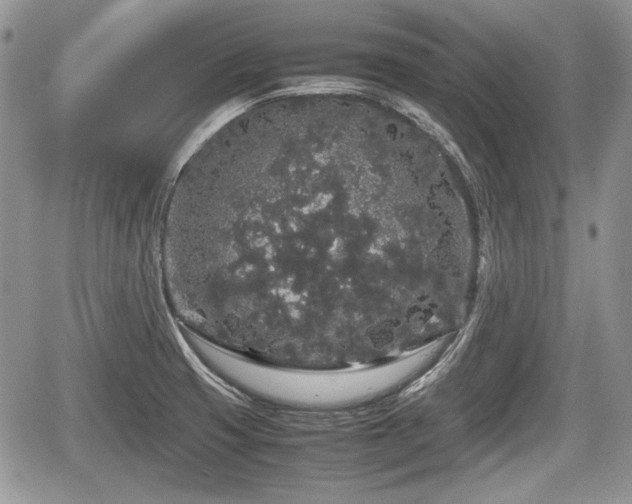 X0000067871425200604171213