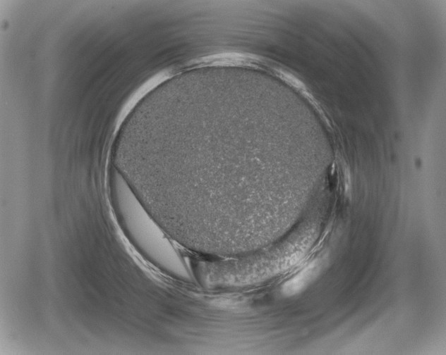 X0000067871426200604171213