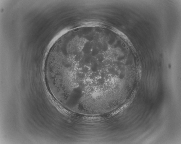 X0000067871427200604171213