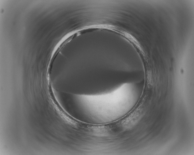 X0000067871428200604171213