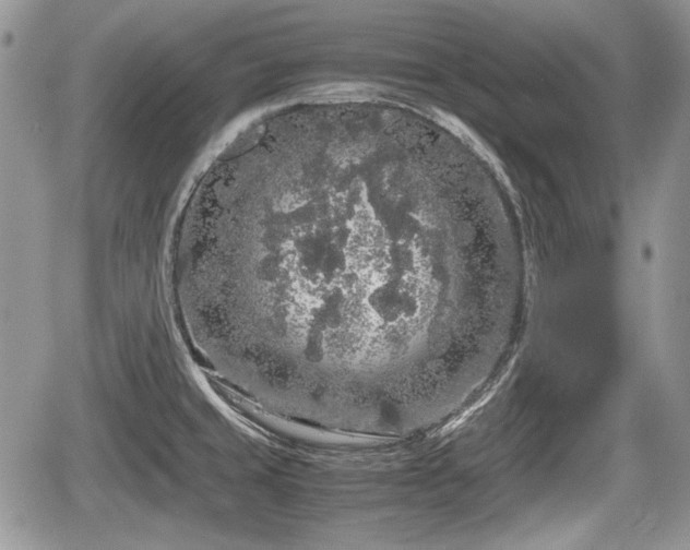 X0000067871429200604171213