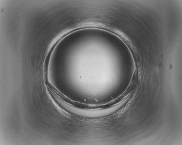 X0000067871430200604171213