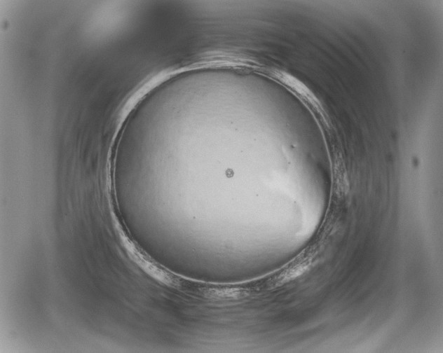 X0000067871431200604171213