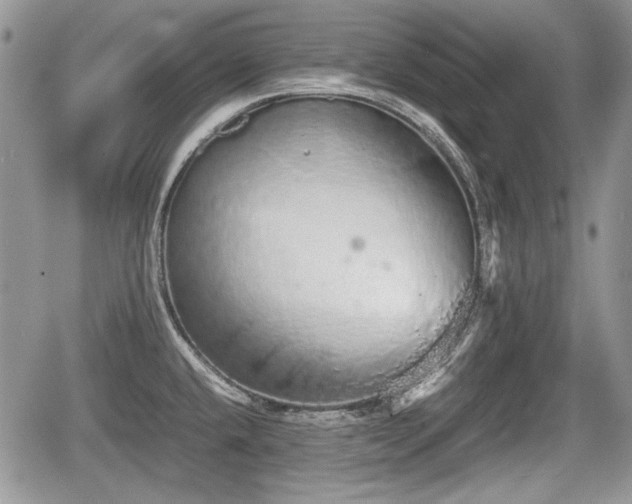 X0000067871432200604171213