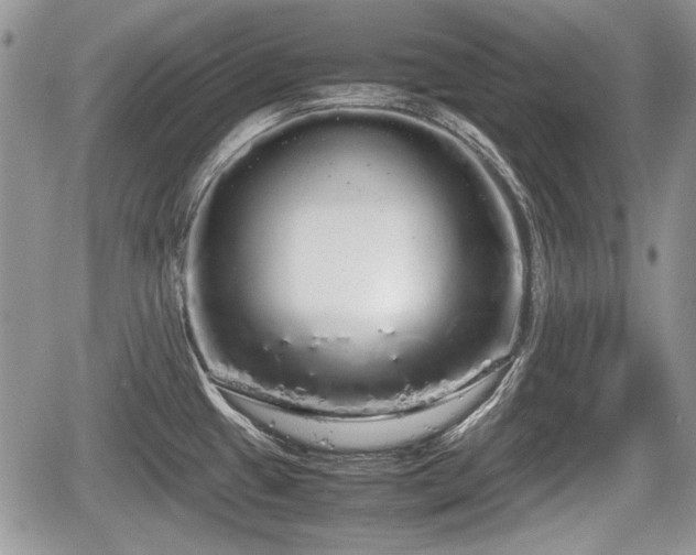 X0000067871433200604171213