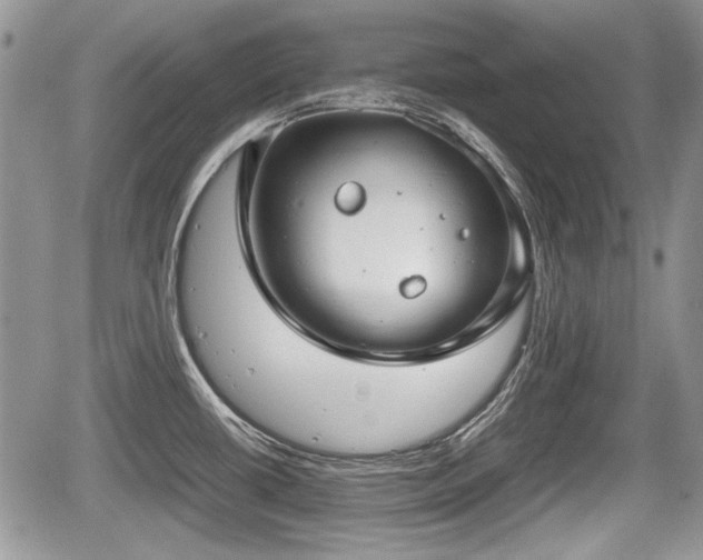 X0000067871434200604171213